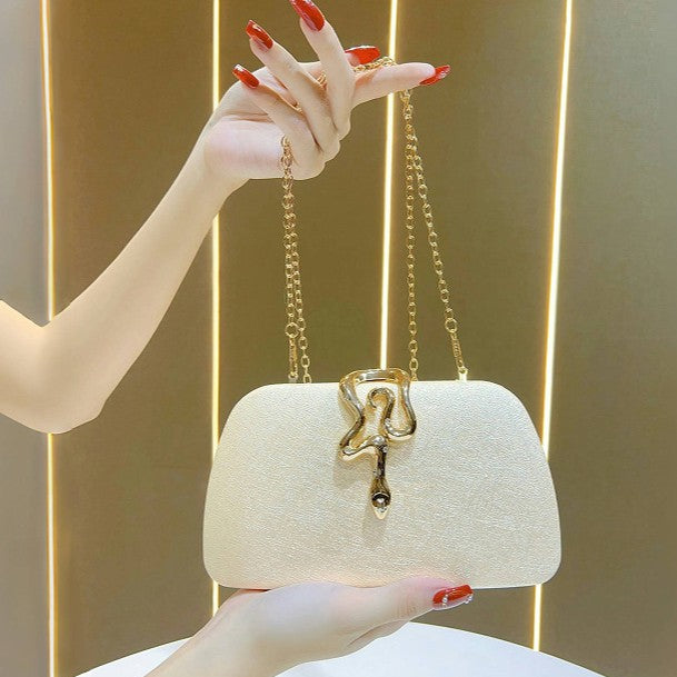 Elegant Structured Evening Clutch