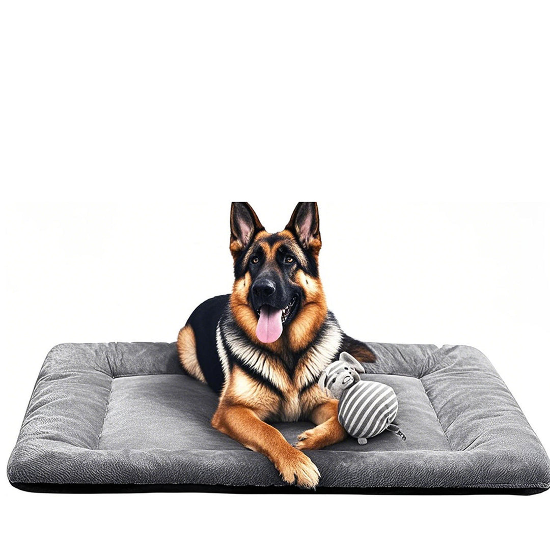 Orthopedic Supportive Dog Bed