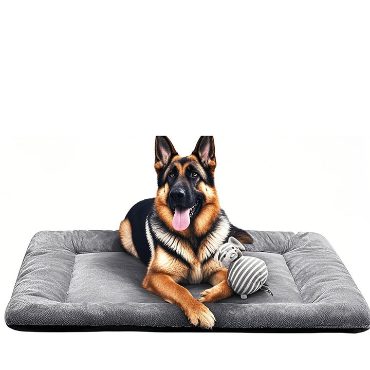 Orthopedic Supportive Dog Bed