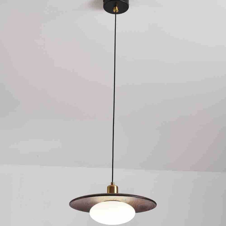 Modern Artistic Pendant Light Fixture