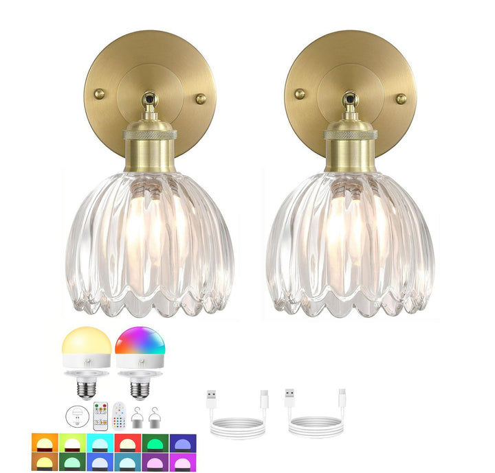 Elegant Glass Wall Sconce