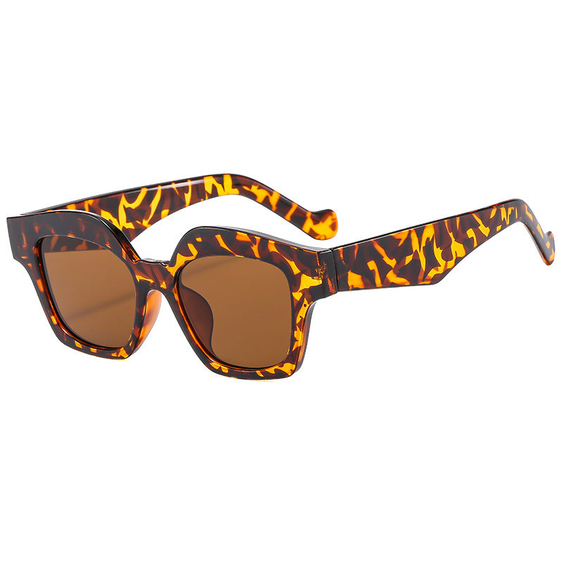 Ladies Designer Sunglasses in Modern Tortoiseshell Style Kalsten