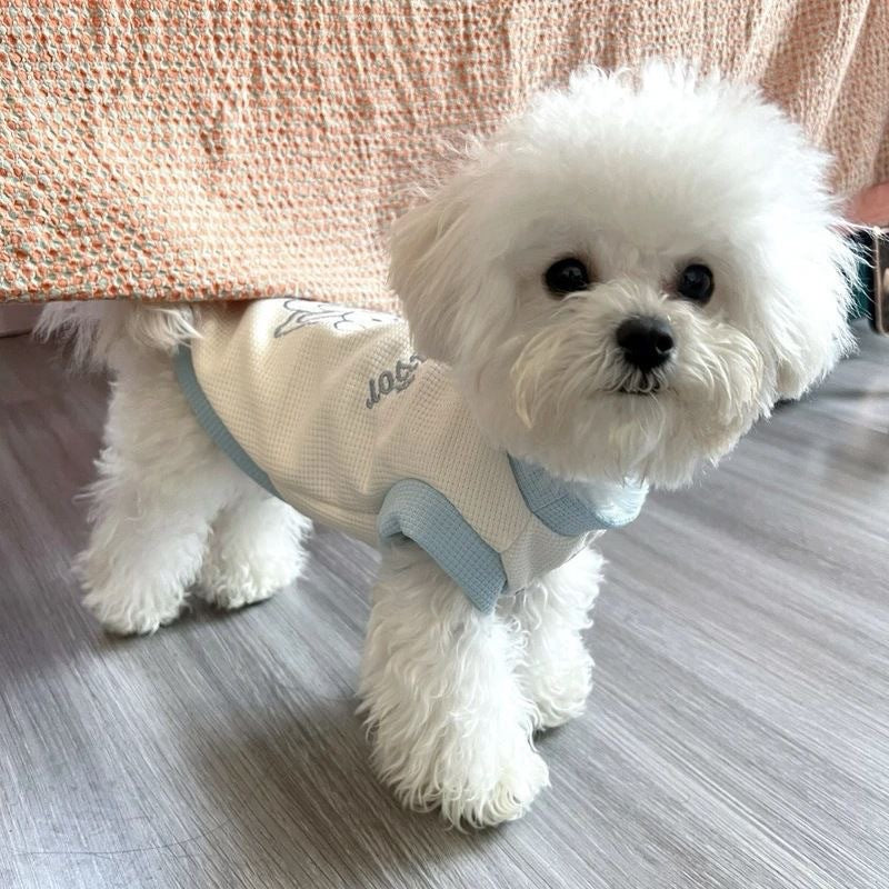 Embroidered Waffle-Knit Pet Harness Vest with Back D-Ring
