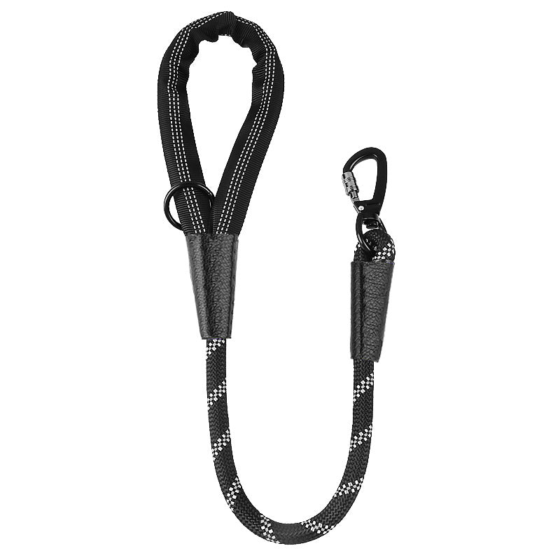 Dog Leash