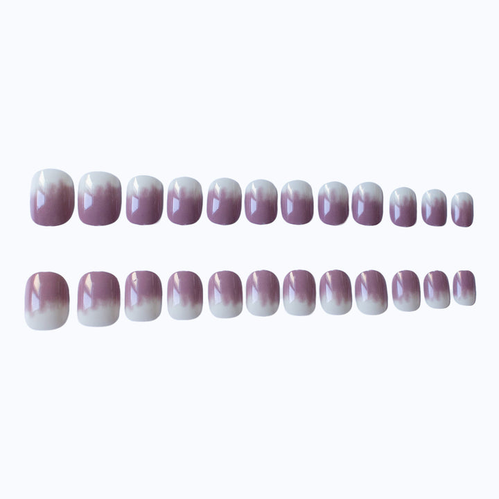 Elegant Ombre Nail Art Set