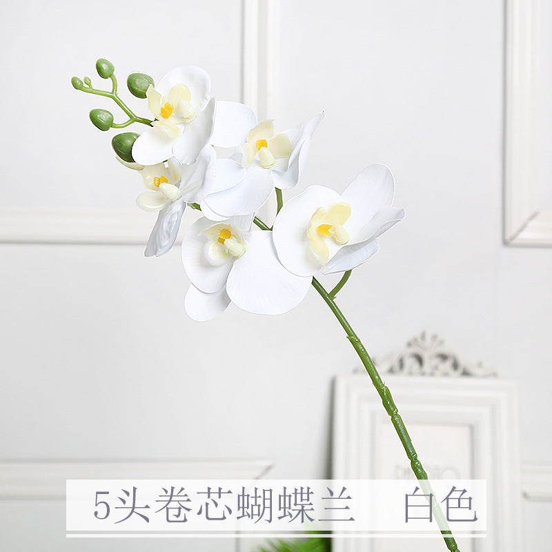 Realistic Orchid Floral Stem