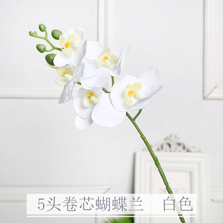 Realistic Orchid Floral Stem