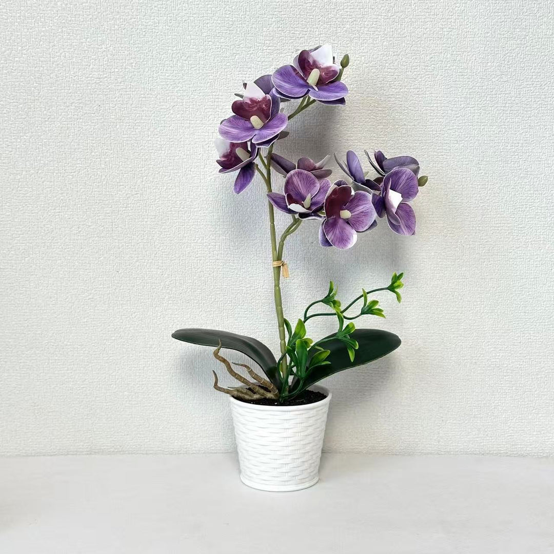 Artificial Orchid Arrangement for Decorative Indoor Display