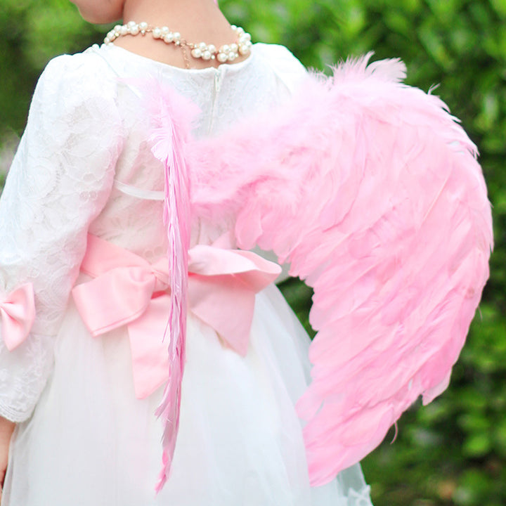 Angel Wings Costume Accessory
