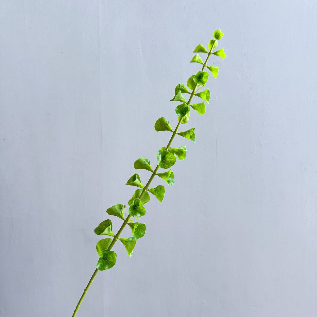 Stylish Indoor Plant Decor