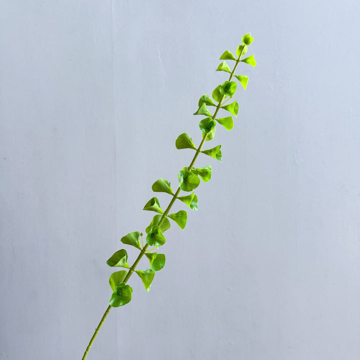 Stylish Indoor Plant Decor