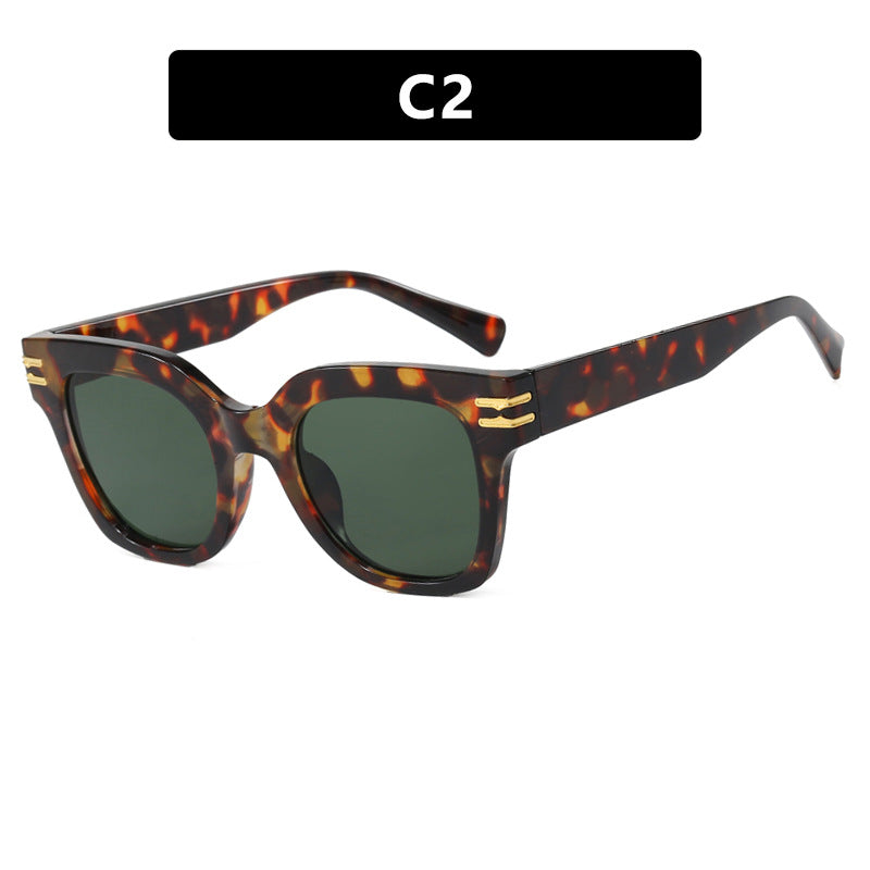 Women's stylish sunglasses with elegant accents Kalsten
