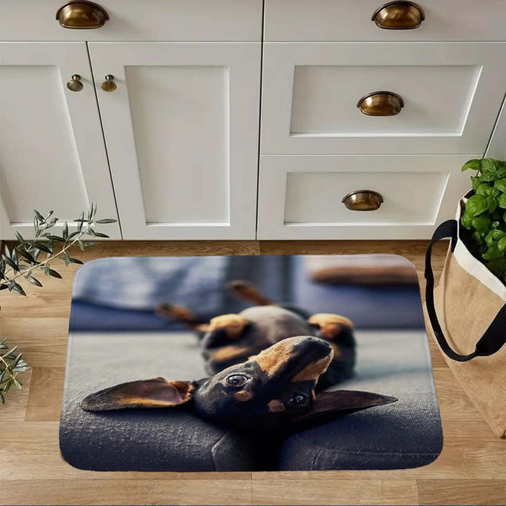 Cute Animal-Themed Kitchen Mat