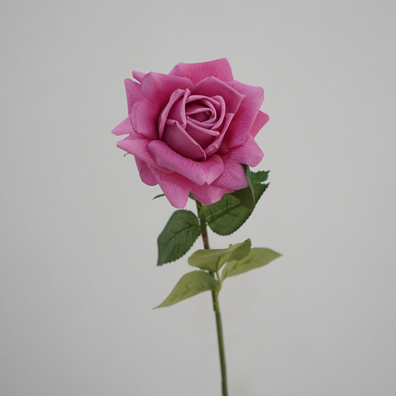 Lifelike Garden Rose Stem
