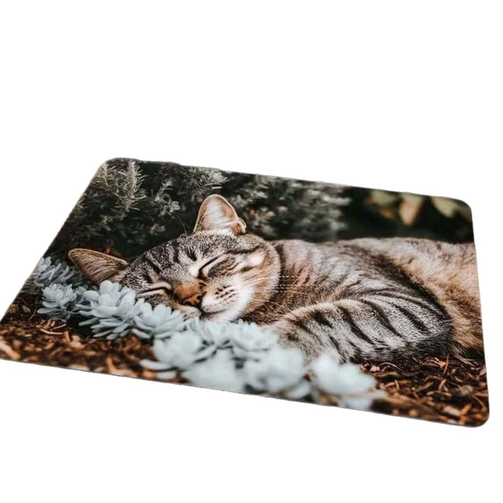 Welcome Home Entrance Doormat