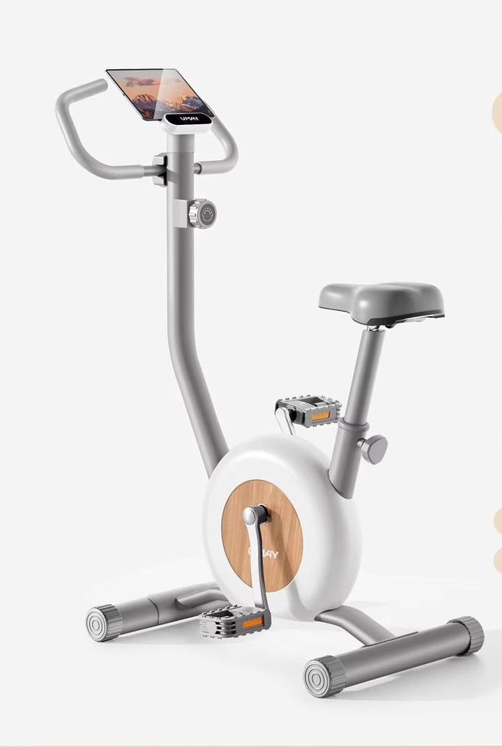 Smart Indoor Cycling Bike Kalsten