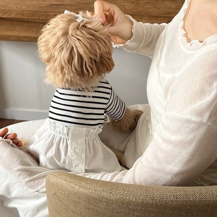 Striped Cotton Knit Pet Dress with Ruffled Skirt and Button-Back Closure