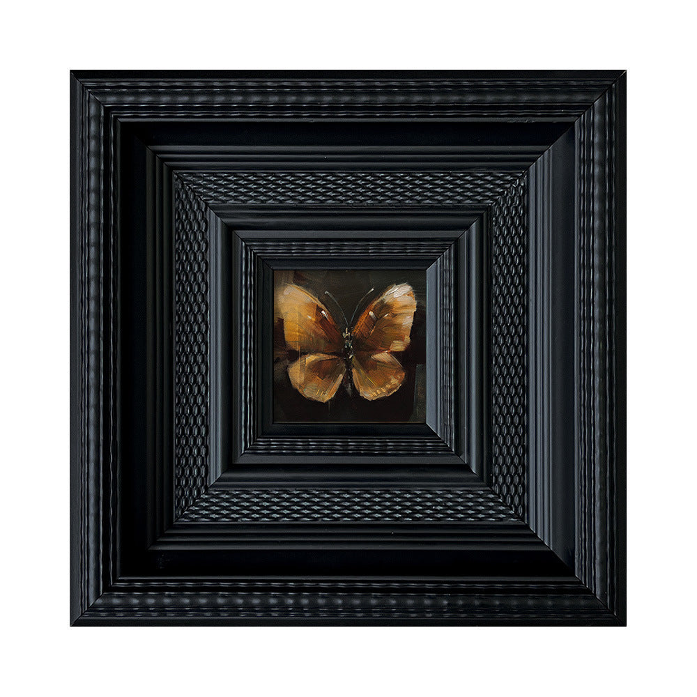 Insect Art Display in Frames