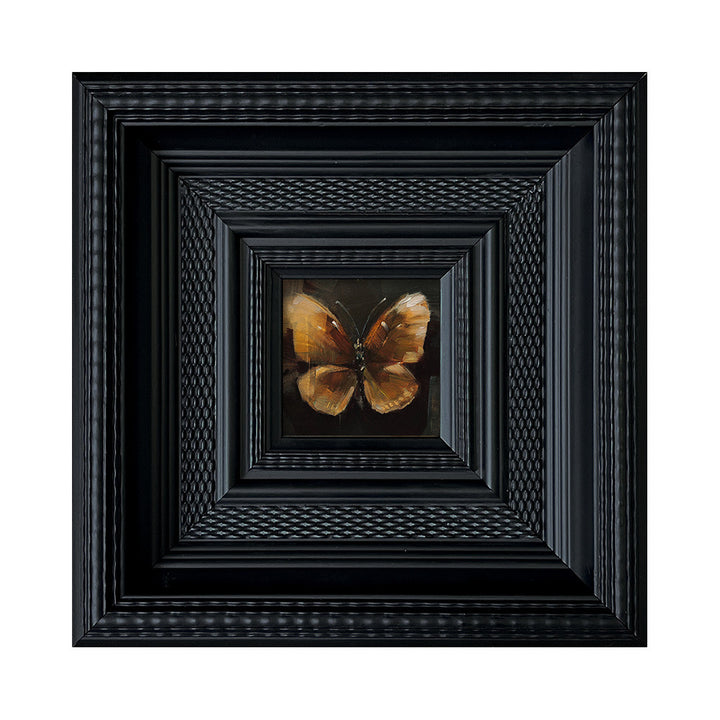 Insect Art Display in Frames