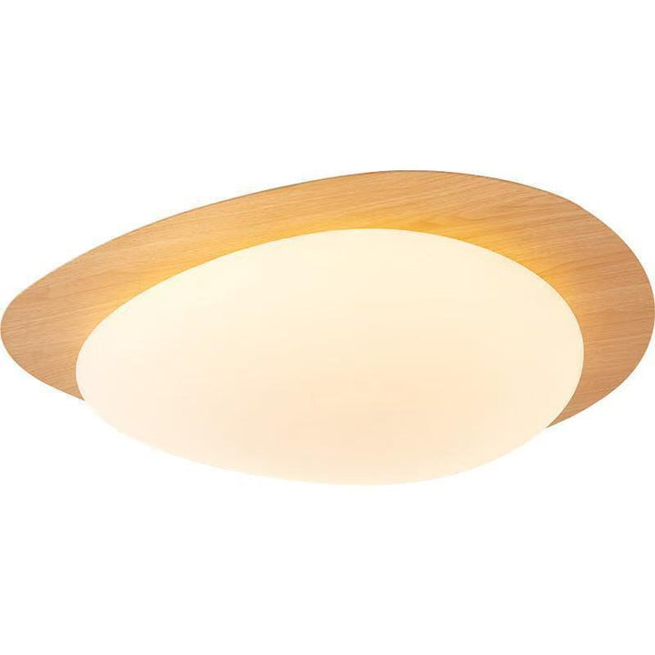 Modern Decorative Ceiling Light