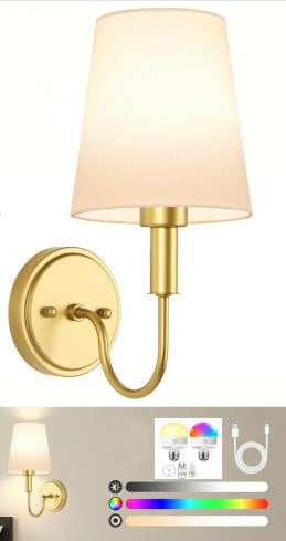 Modern Smart Wall Light Fixture