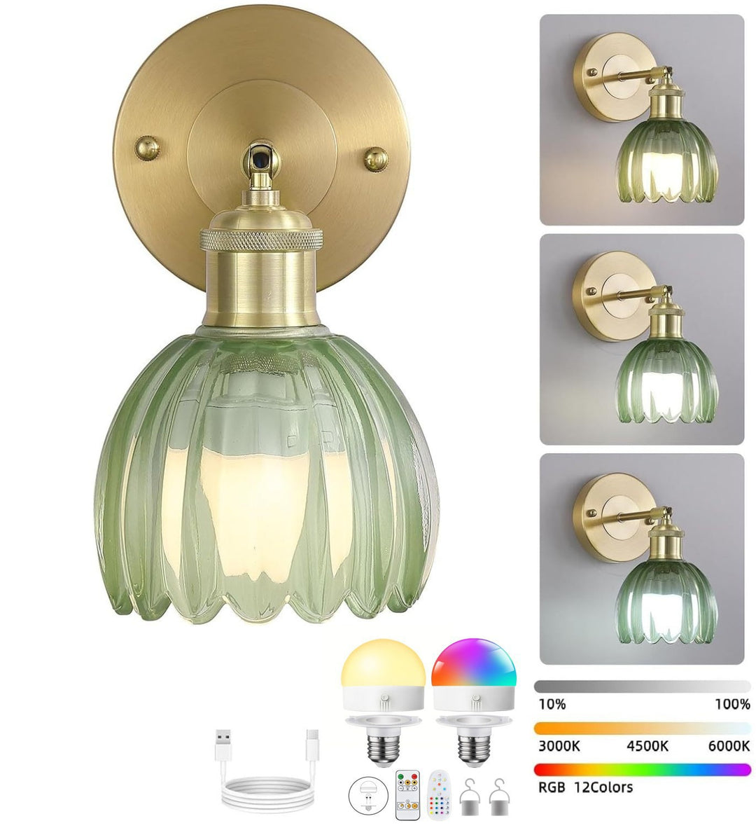 Elegant Glass Wall Sconce