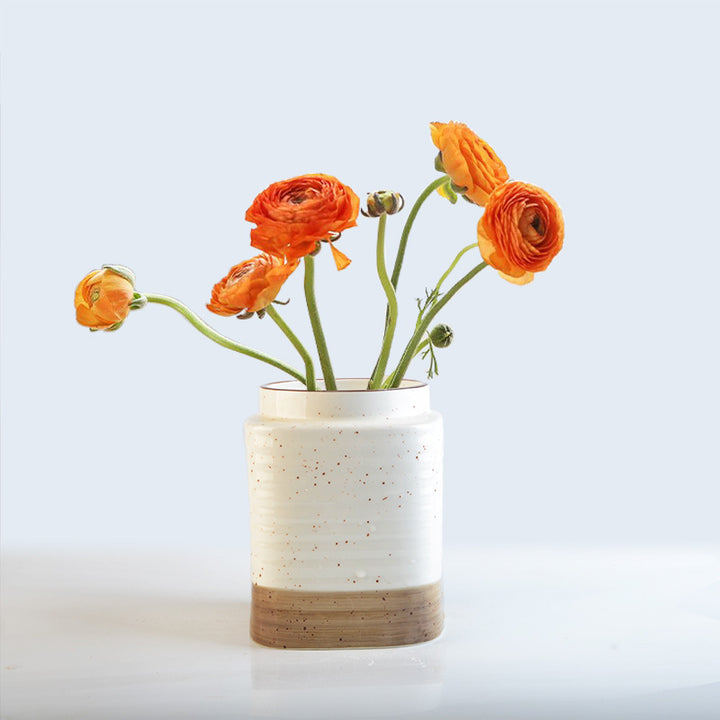 Decorative ceramic container Kalsten