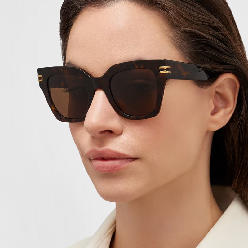 Women's stylish sunglasses with elegant accents Kalsten