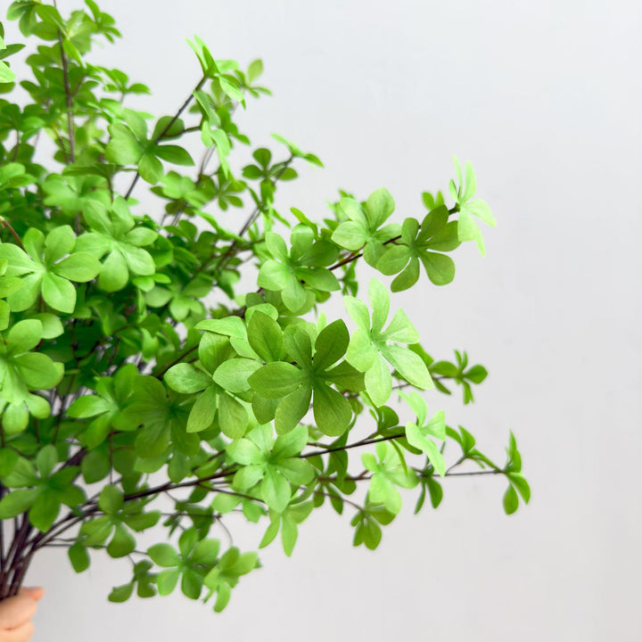 Elegant Decorative Plant