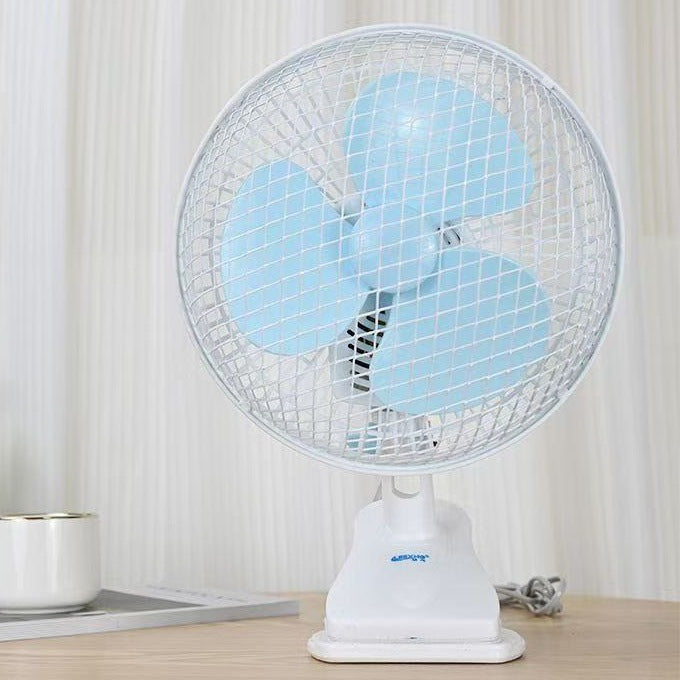 Fan Kalsten