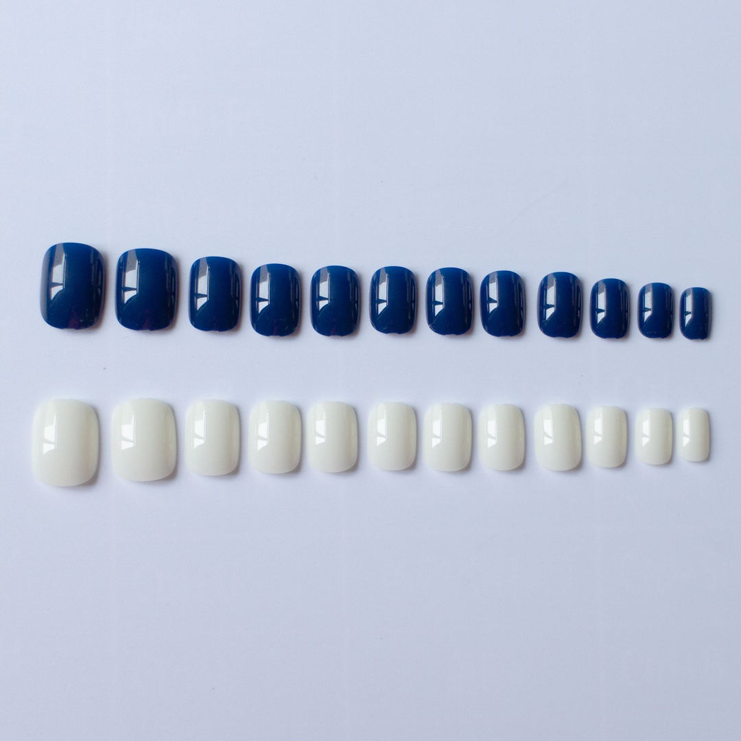 Elegant Dual Color Nail Art Set