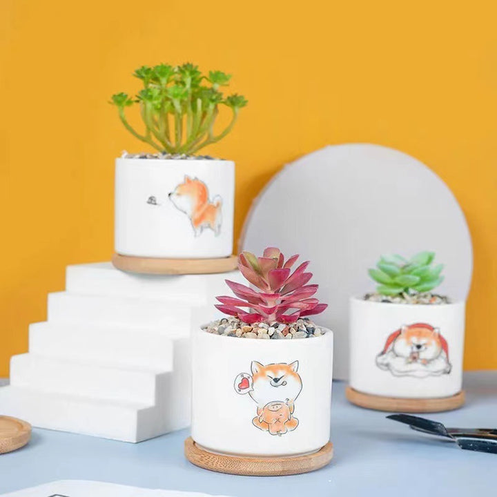 Cute Animal-Themed Succulent Planter Kalsten