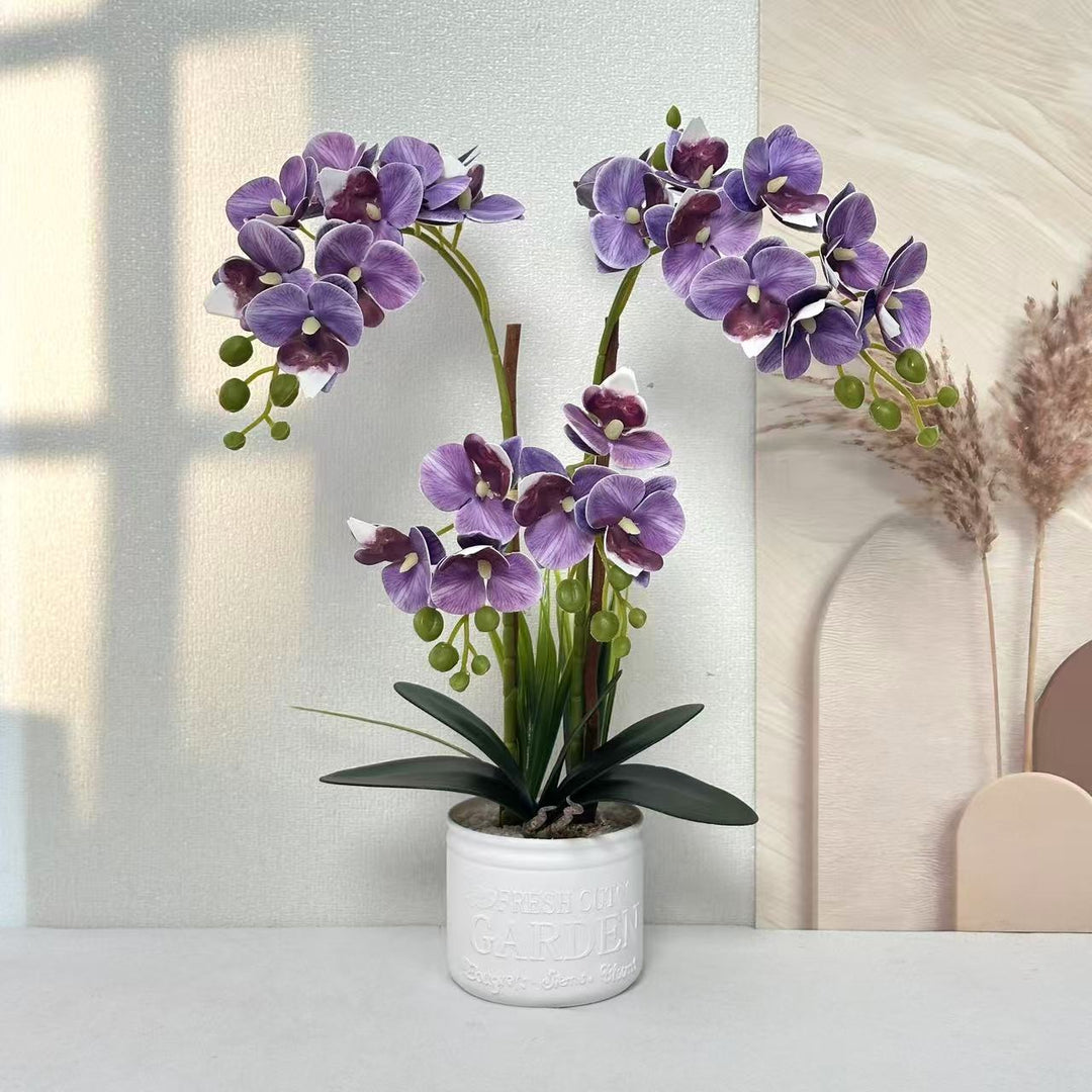Decorative Potted Orchid Arrangement for Tabletop Decor