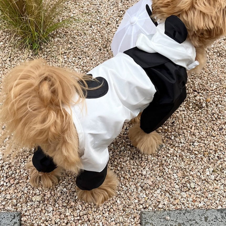Contrast Panel Lightweight Dog Jumpsuit
