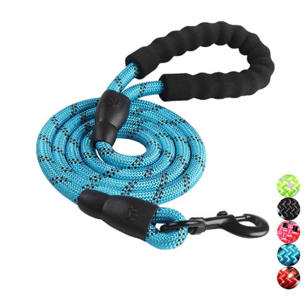 Dog Leash