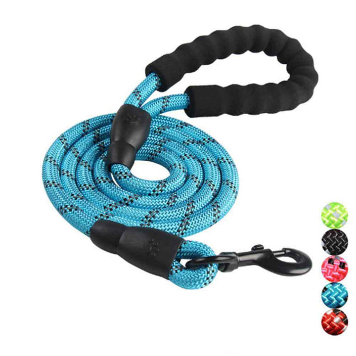 Dog Leash