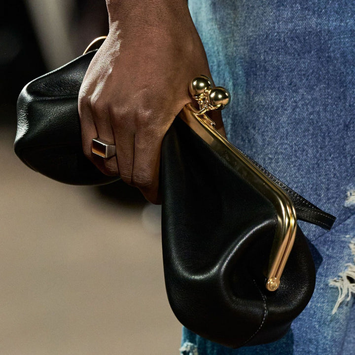 Elegant Clutch Purse