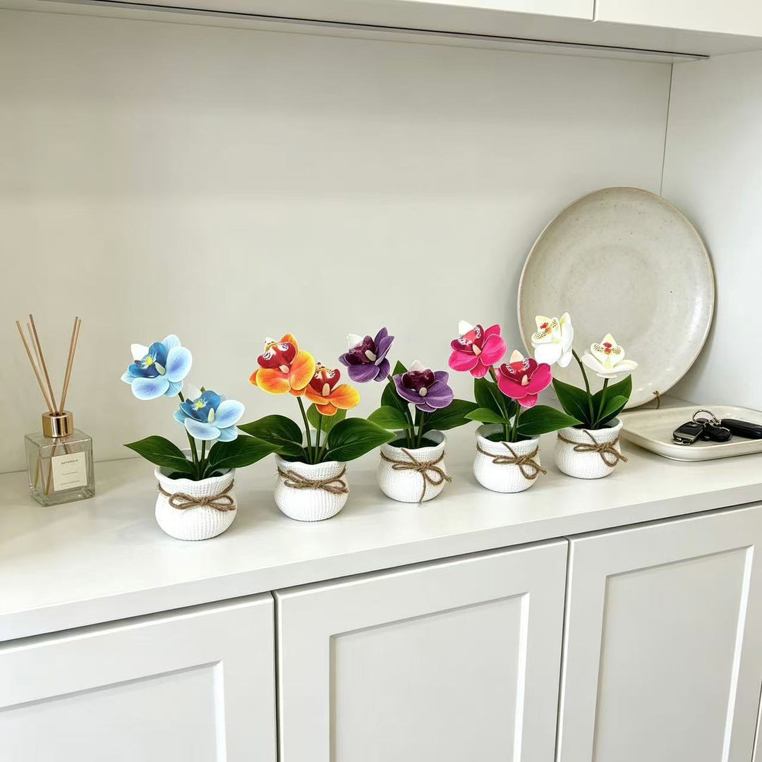 Decorative Potted Orchid Arrangement for Indoor Display