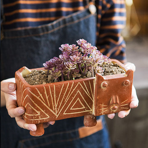 Decorative Plant Bowl Kalsten