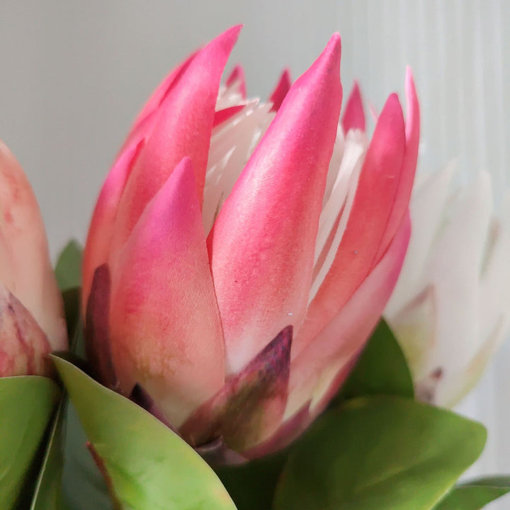 Lifelike Protea Flower Stem