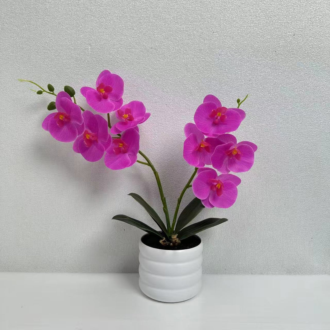 Lifelike Orchid Décor