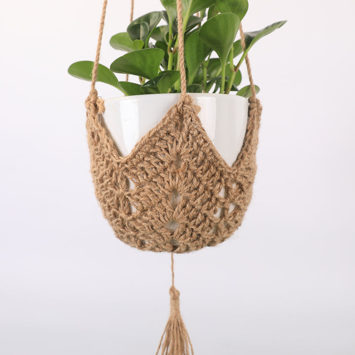 Stylish Macramé Plant Hanger