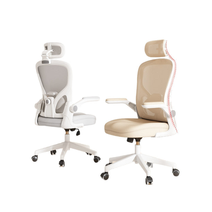 Ergonomic Office Chair Kalsten