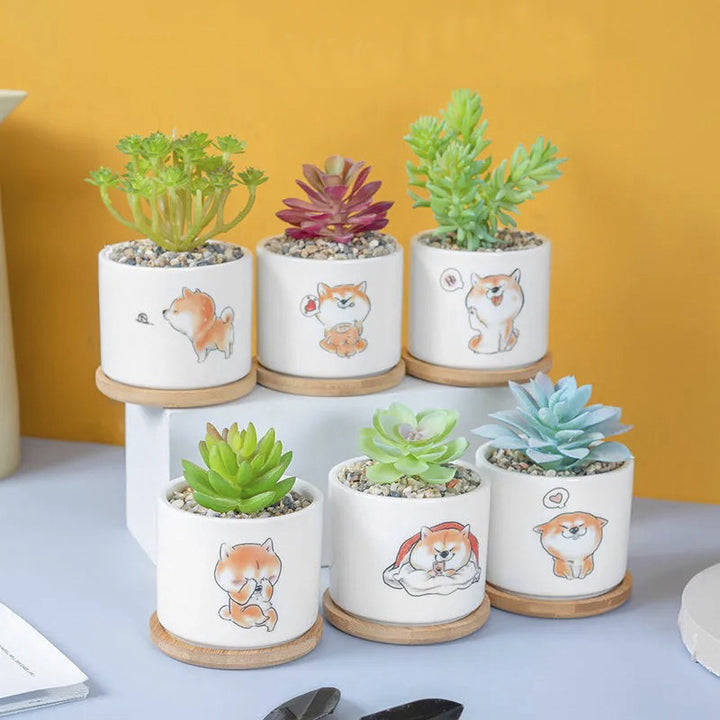 Cute Animal-Themed Succulent Planter Kalsten