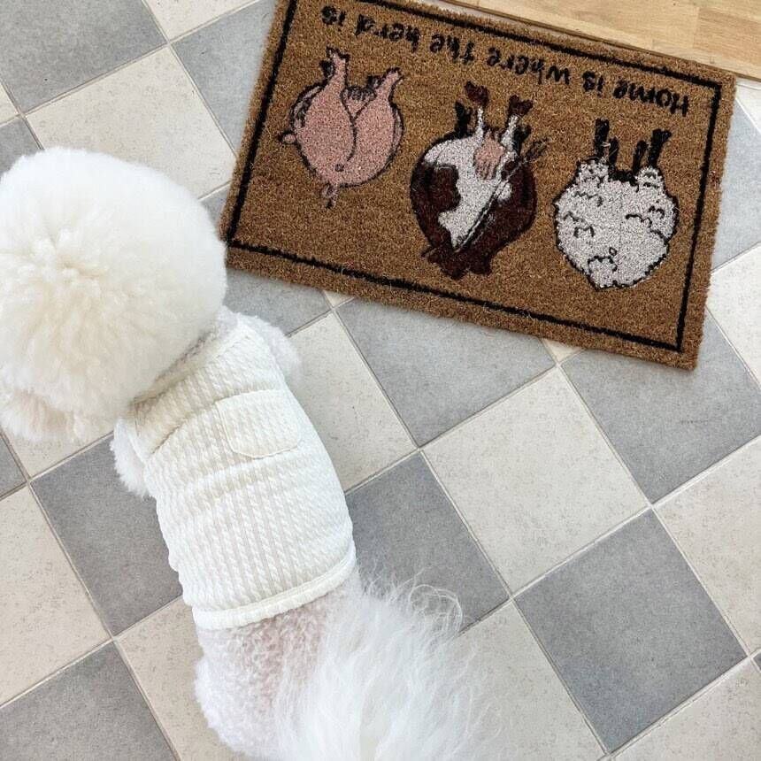 Ribbed Stretch Knit Dog Belly Vest
