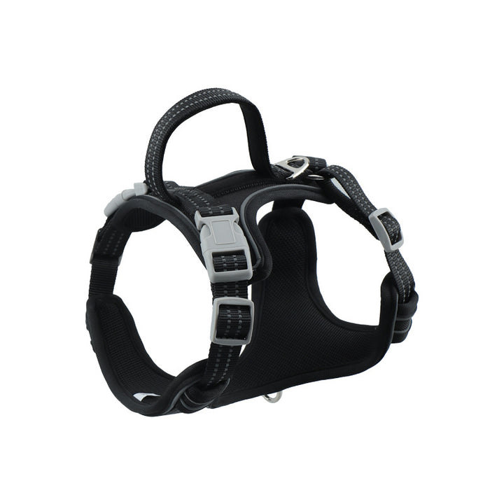 Padded Pet Harness