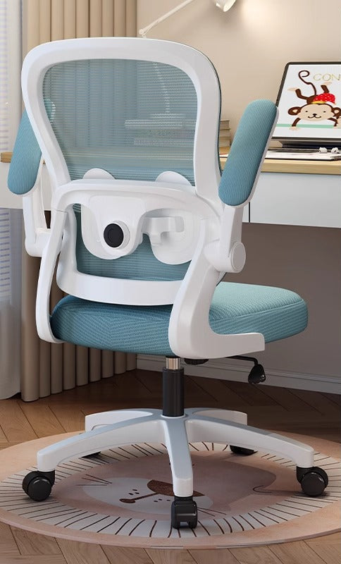 Ergonomic Study Chair Kalsten