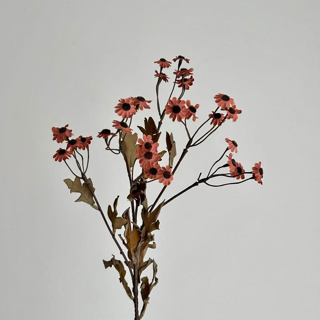 Decorative Dried Flowers