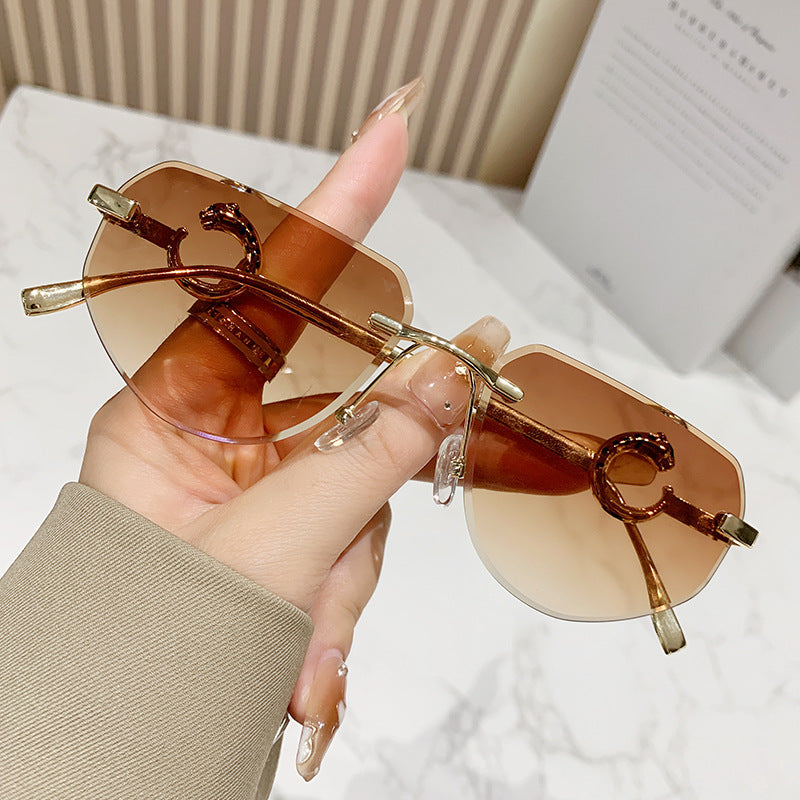 Women's trendy chic sunglasses in modern design with delicate metal frame Kalsten