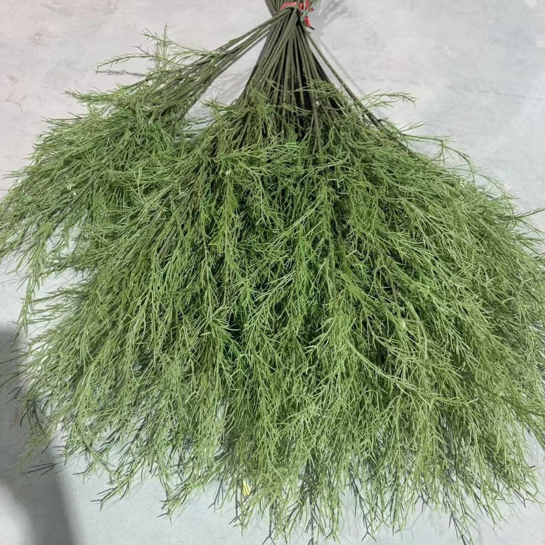 Lush Botanical Hanging Fern Decoration